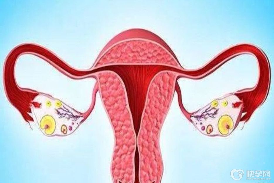 先天性卵巢发育不良能做试管婴儿吗？不抛弃不放弃，尽如所期