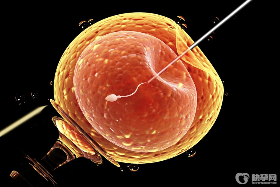 试管婴儿移植没有怀孕是什么原因？专家解读试管婴儿移植失败的原因助好孕