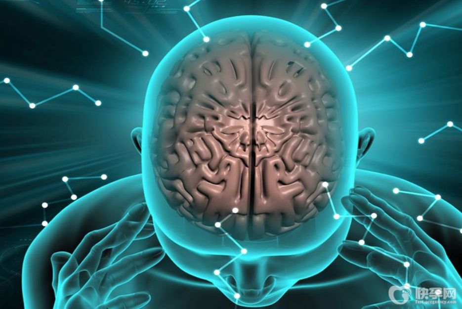 脑白质营养不良能做第三代试管吗？打破生育“诅咒” 助力新生