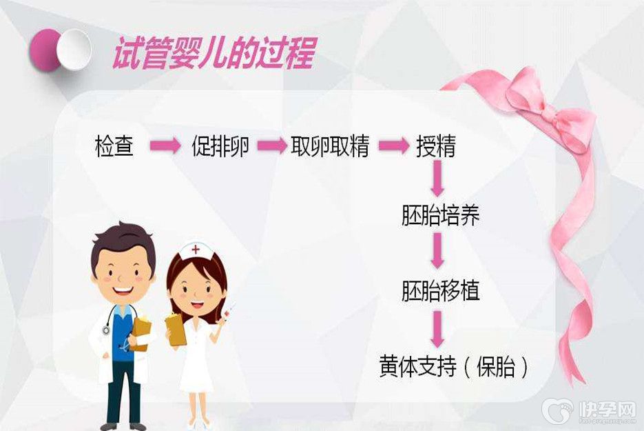 干货分享-分分钟带你了解做试管婴儿全流程，超实用