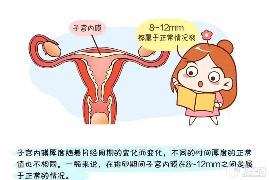 试管备孕吃什么增厚子宫内膜？这些食物错不了