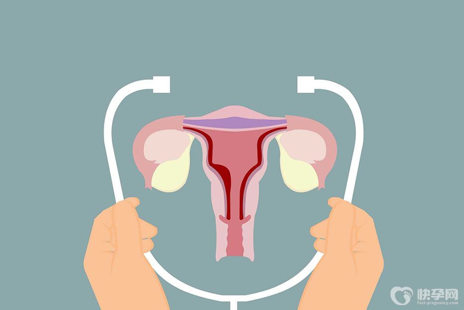 慢性内膜炎能做试管吗？治愈后试管成功率更高