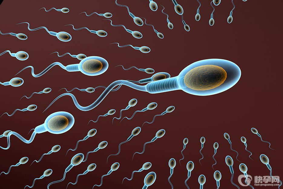 重度少弱畸精子症做试管成功率会不会很低？生殖专家说出真相