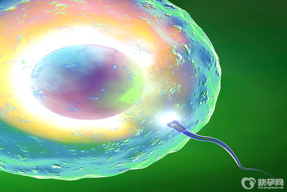 公立医院做供卵试管可以选性别吗-技术上可行但必须满足其前提条件