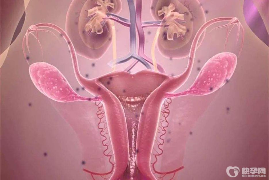 卵巢畸胎瘤能做试管吗？结果没有让人失望