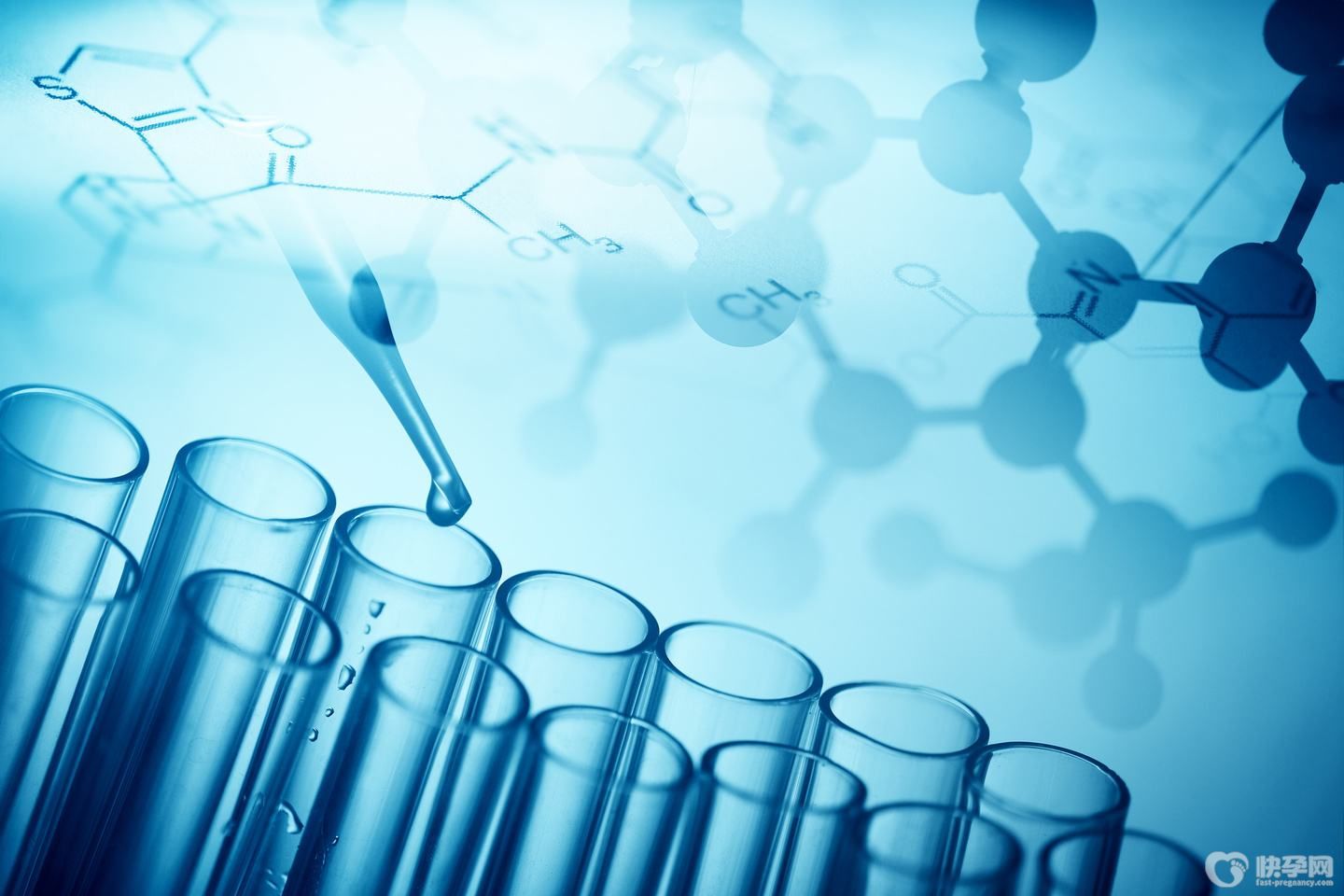 试管婴儿的存活率怎么样-没有百分百的成功