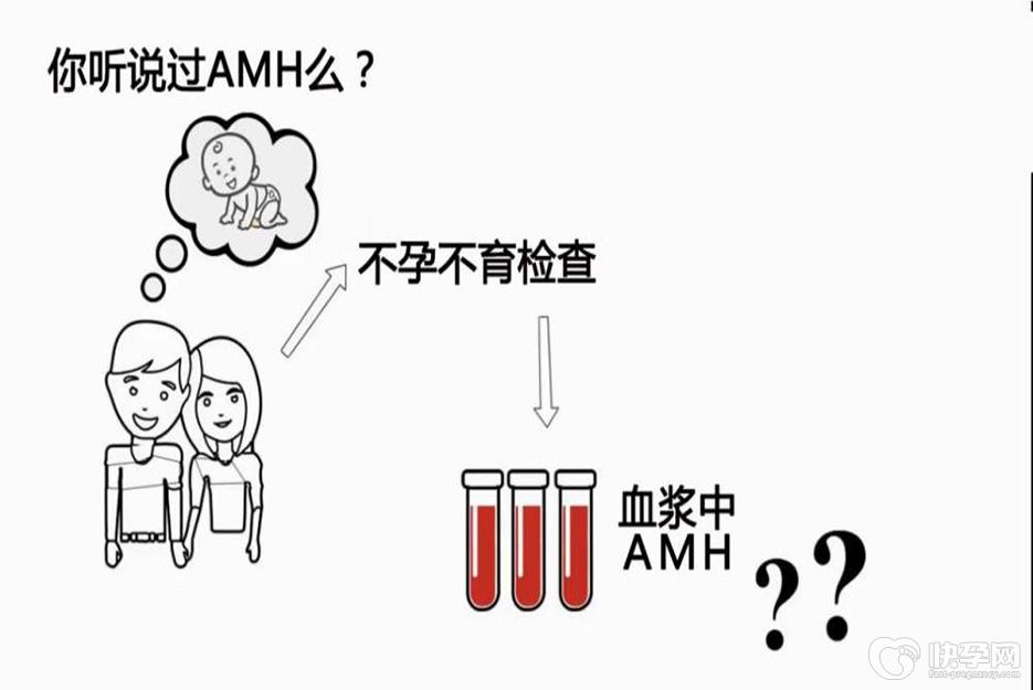 amh0.9试管婴儿成功率高吗？专家有3点提高成功率的建议给到你