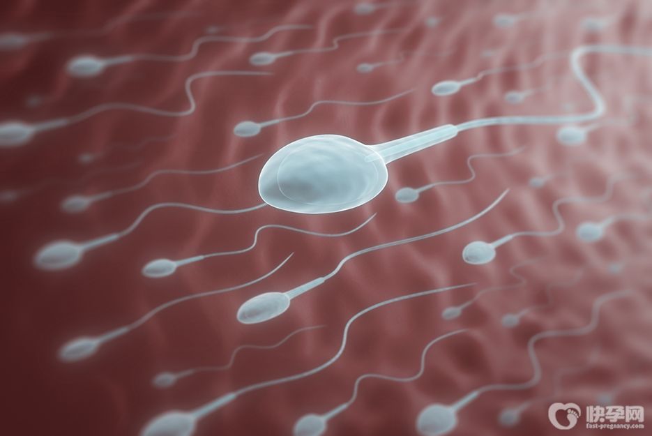 38岁无精症晚育夫妻可以做试管婴儿吗-可以但要先分析具体病症