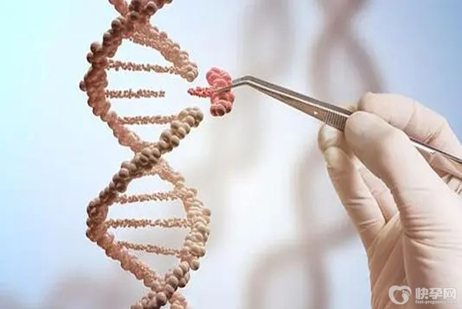 试管婴儿能不能排除基因疾病？能，但只不过是凤毛麟角