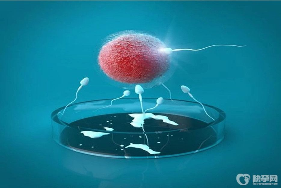 【热点解析】第一第二第三代试管婴儿区别