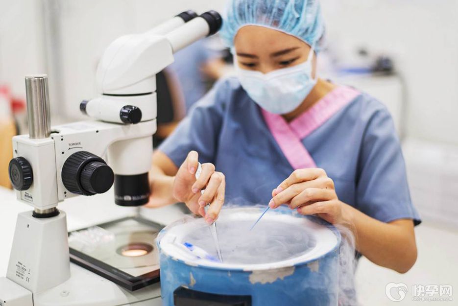 试管婴儿移植冻胚流程，五个步骤带你快速了解整个过程