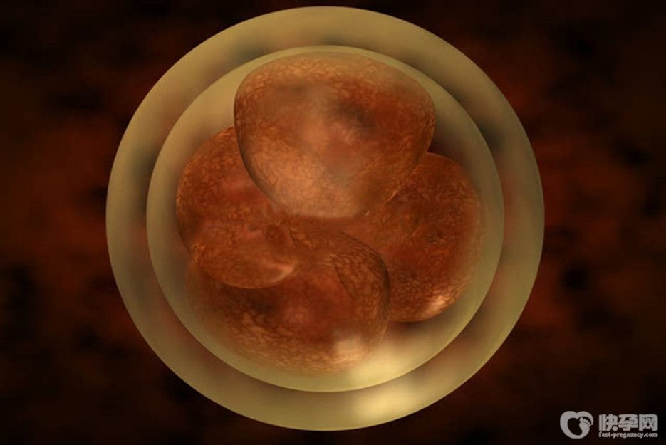 试管婴儿冻胚好还是鲜胚好？适合自己的，才是最好