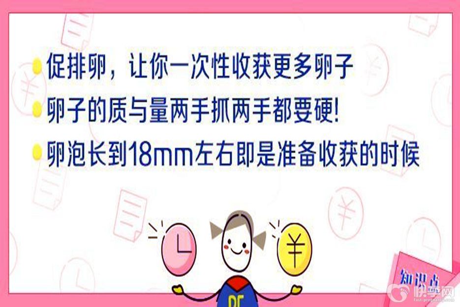 做试管婴儿取卵程序解读-3个方面带你揭秘试管婴儿取卵手术全过程