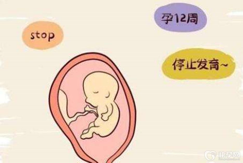 焦点论谈：试管四个月好多人胎停是什么原因？一文解说胎停的原因