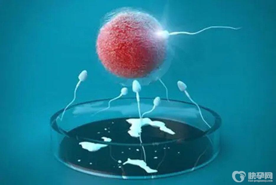 多次试管婴儿都不成功该怎么办？别急，东风未至，万事不可求