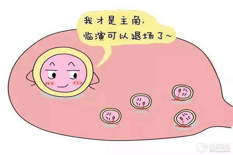 浅谈卵泡对试管婴儿的重要性，手把手教你提高卵泡质量