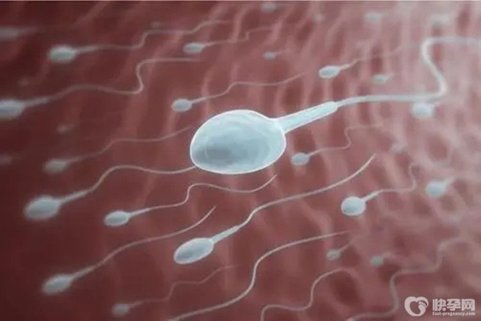 深度解说:能用丈夫老爸的精子做试管吗？看看法律和道德是否充许