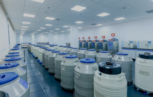 试管婴儿移植鲜胚成功高还是移植冻胚的成功率高？