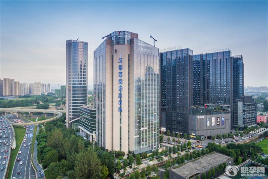 成都试管私立医院排名第一是哪家