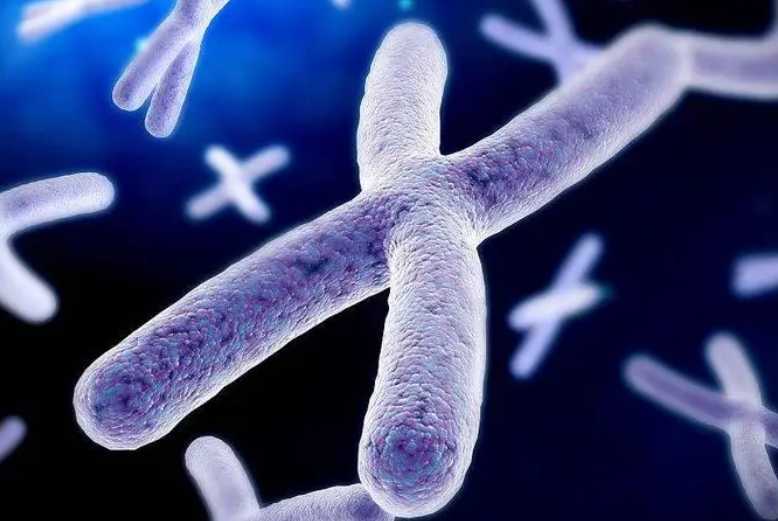 1ml精子数量低于2千万是少精症吗？收藏学习