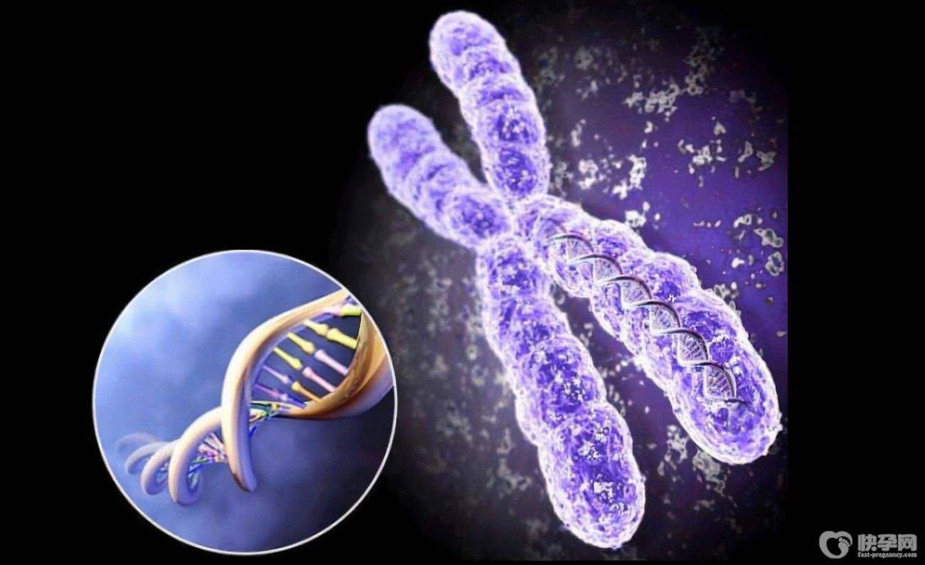 国内单身女性可以做试管吗？单身女性试管胜诉给了我们什么信号