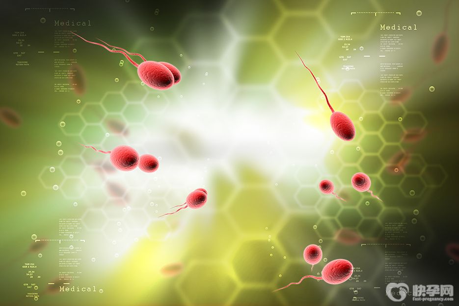 加拿大单身女性能试管婴儿吗？只需持有这两个证件即可