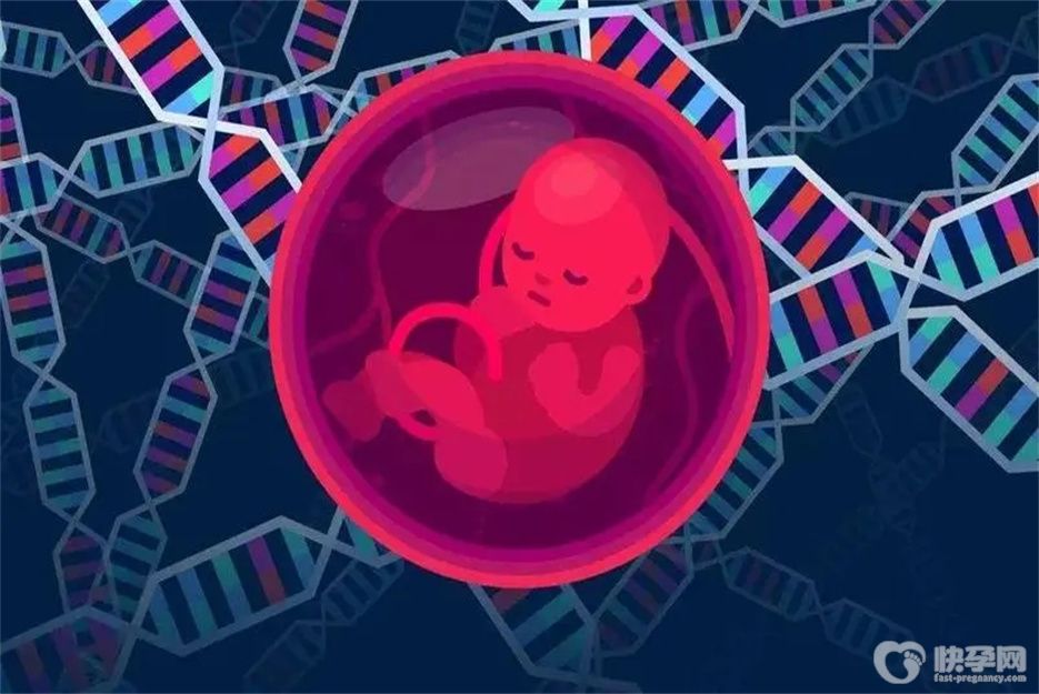 农村做试管可以补助3万是真的吗？试管婴儿的费用主要由以下4个部分构成