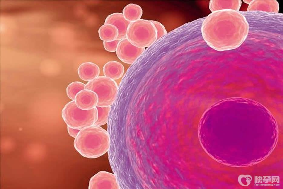 湖北代怀生子价格-借卵代怀生子费用