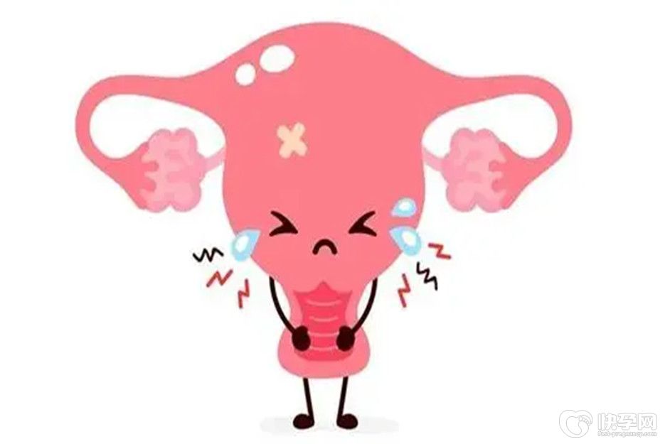 卵巢早衰每个月能排卵还可以做试管吗？答案也许能让你安心