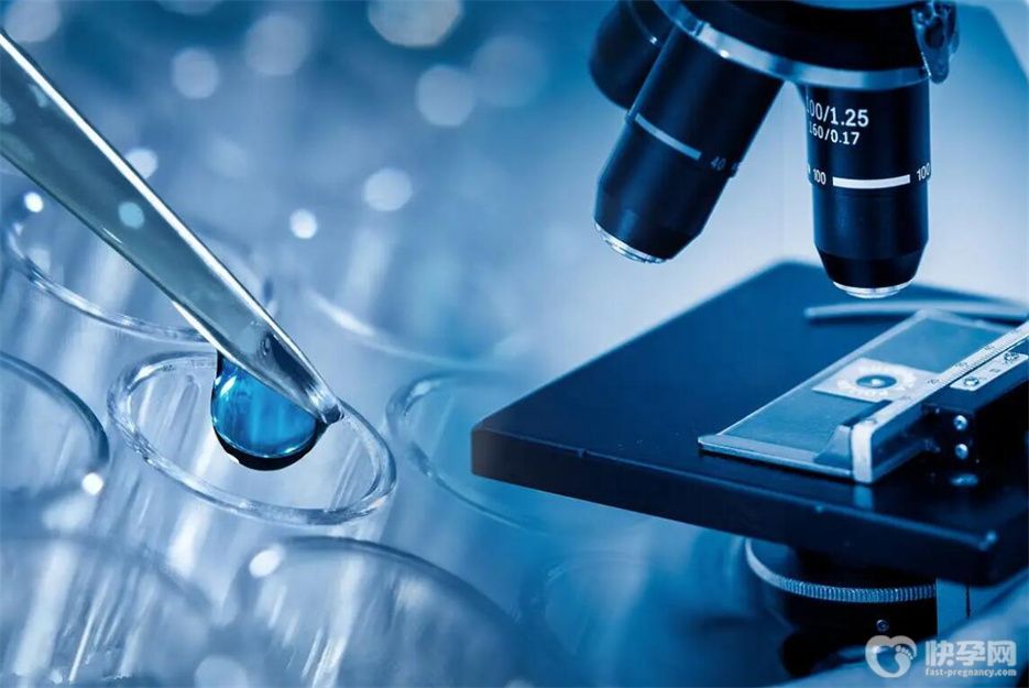 10个人做试管几个能成功?不同年龄阶段的成功率不同