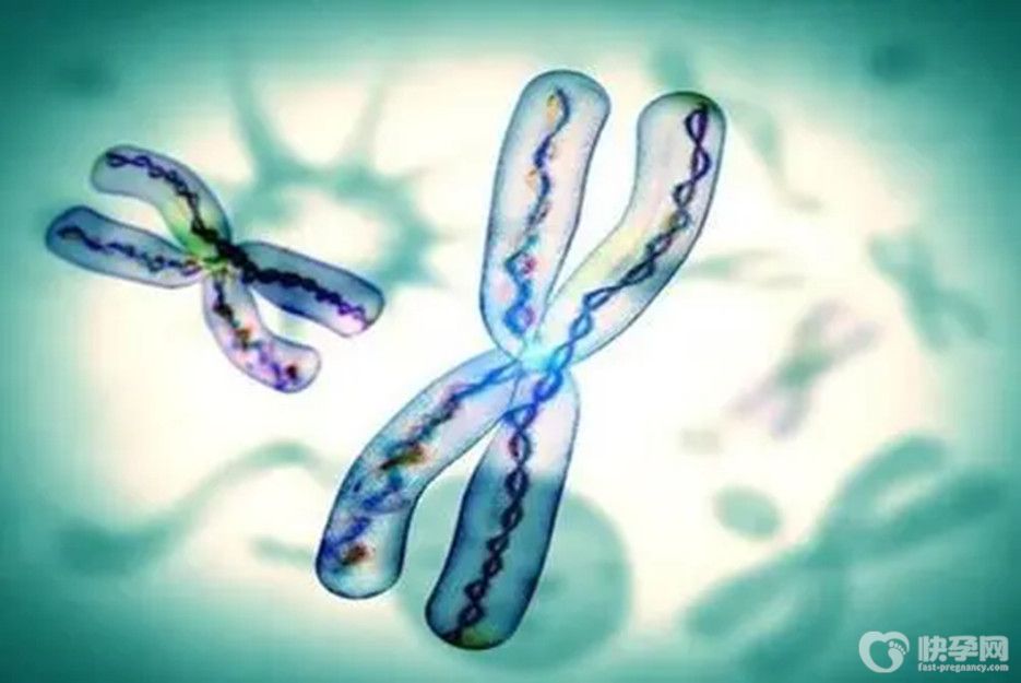 染色体有问题能做试管婴儿吗？一分钟告诉你真相不用为生育苦恼