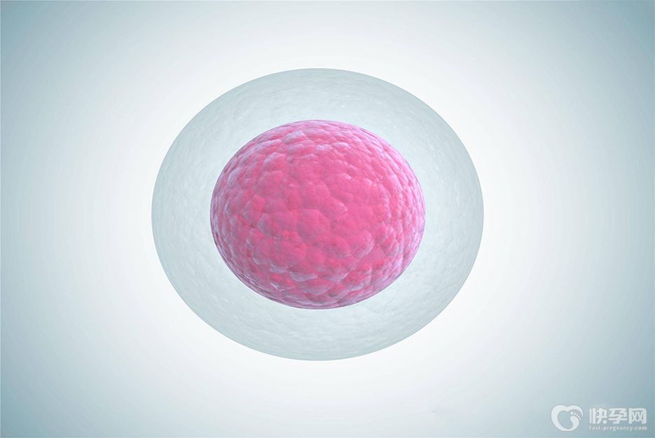 卵泡不破做试管婴儿成功率高吗？听听生殖专家怎么说