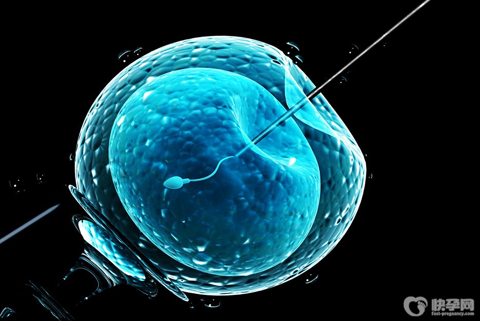 月经不调卵泡小能试管婴儿吗？3招教你搞定备孕难关