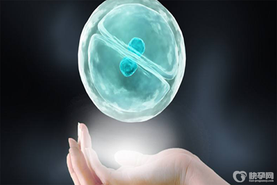 供卵三代试管移植的高成功率对于助孕来说堪称探囊取物