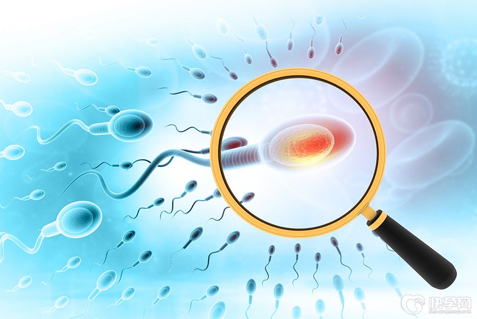 安徽医科大学第一附属医院借卵做试管供卵多少钱？15万绰绰有余