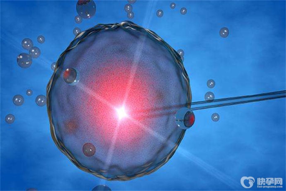 供卵生出来的孩子不像自己怎么办？没有直接血缘关系无法改变