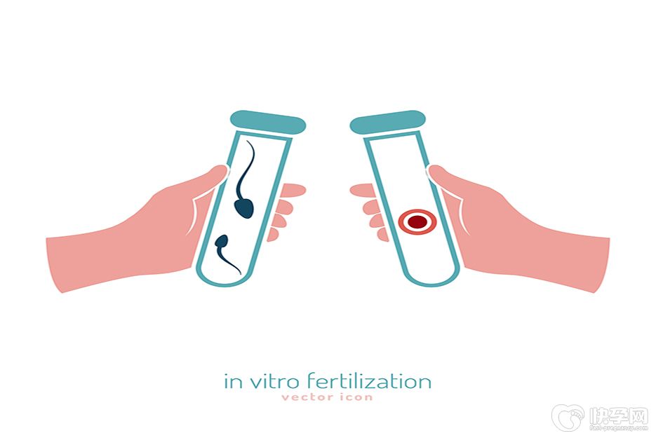 复旦大学附属中山医院可以借卵做供卵试管吗？听听专家怎么说