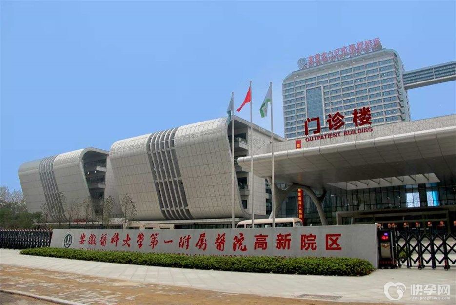 安徽医科大一附院做供卵提交申请后要排多久队？附最新卵源等待时间