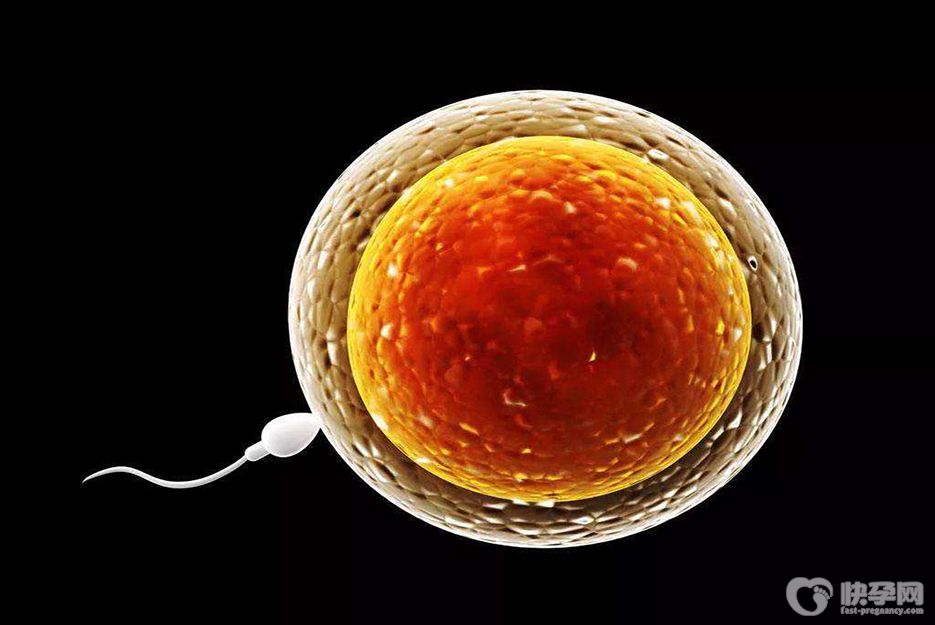 45岁一个基础卵泡可以做试管吗？看完你心中就有数了