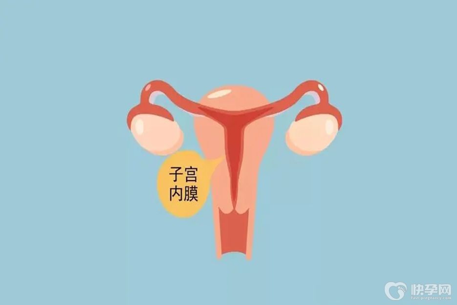 一分钟解读冻囊胚移植对子宫内膜的要求，厚度达标是成功必备条件之一