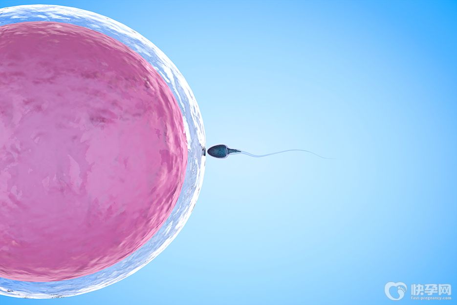 长春二代试管生龙凤胎需要多少钱？10万多以足够