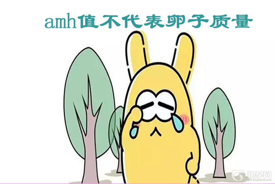 绝经期amh低于0.06还有卵子吗？可以怀孕吗？本文统统告诉你