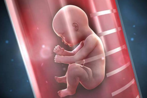 试管双胞胎婴儿费用多少钱？试管婴儿适用人群有哪些？