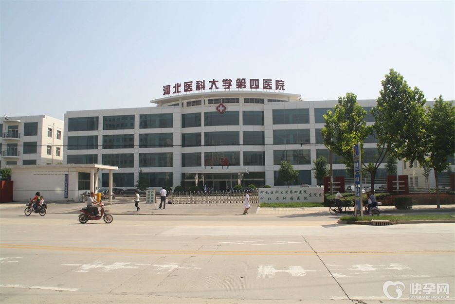 河北医科大学第四医院借卵做试管供卵多少钱？预算20万绰绰有余