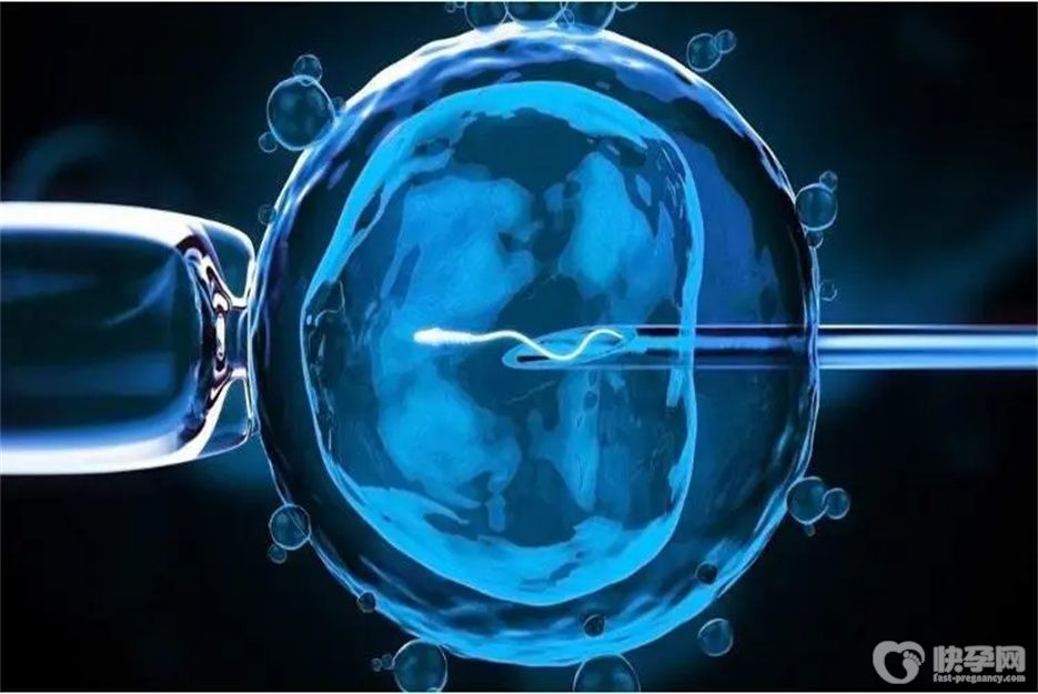 山西省生殖遗传医院可以借卵做供卵试管吗？看完你心中就有答案了