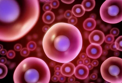 做国内试管婴想要成功的话大概需要花费多少钱？