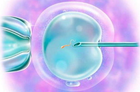 北京试管婴儿相对较好的医院可以百分之百成功吗？