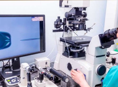 泰国试管婴儿技术和国内比，哪个好？