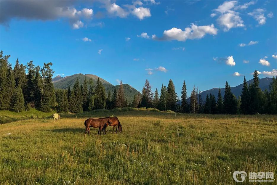 新疆有卵子库么？附2025国内供卵现状分析