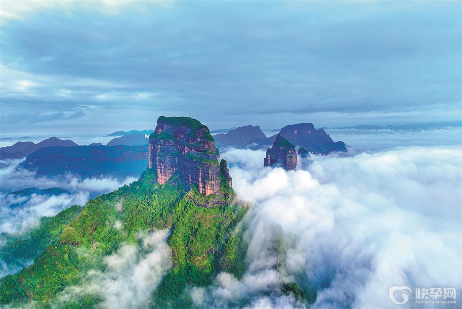 韶关哪里有卵子库？附2025韶关供卵试管热门医院排行榜